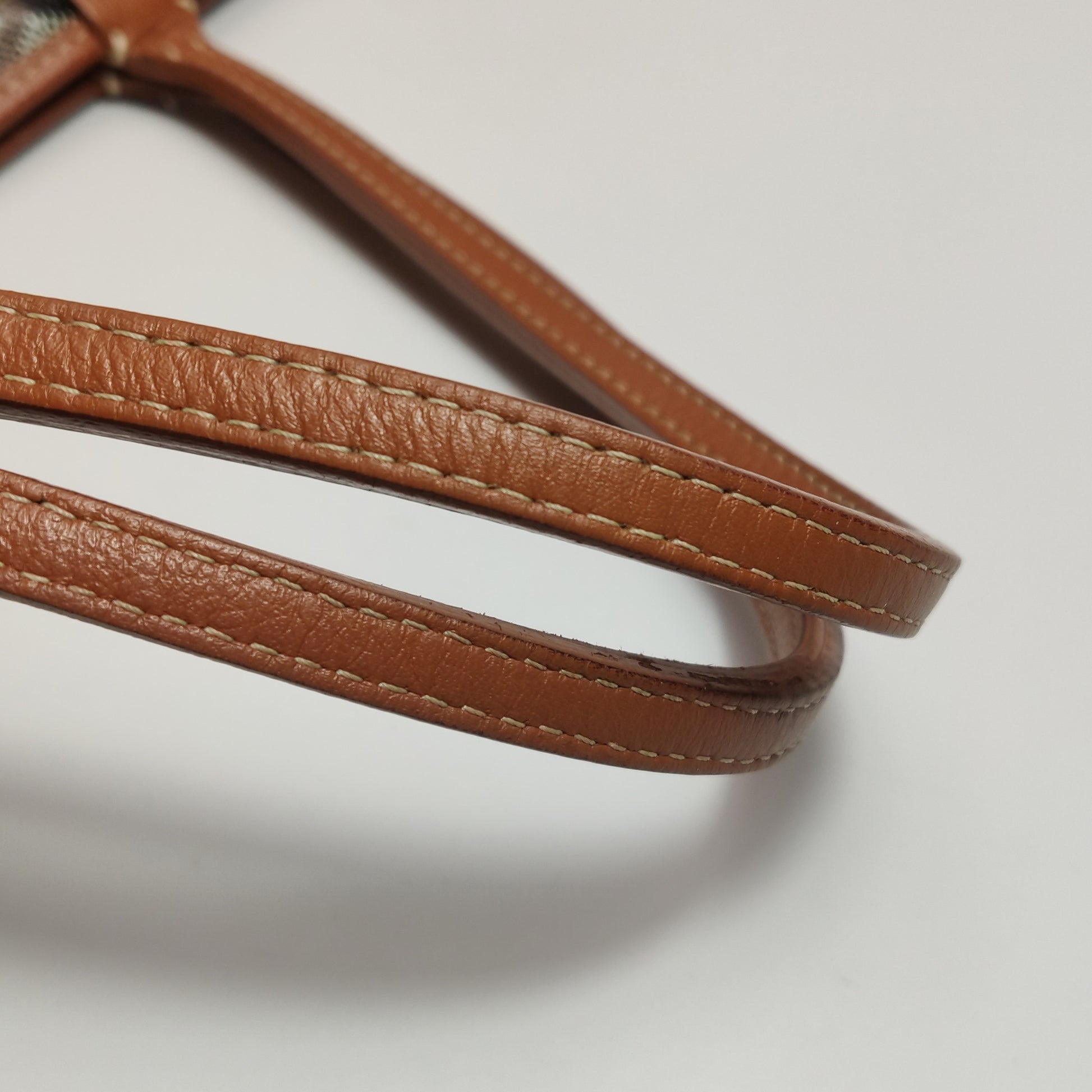 Goyard Artois PM Noir Tan