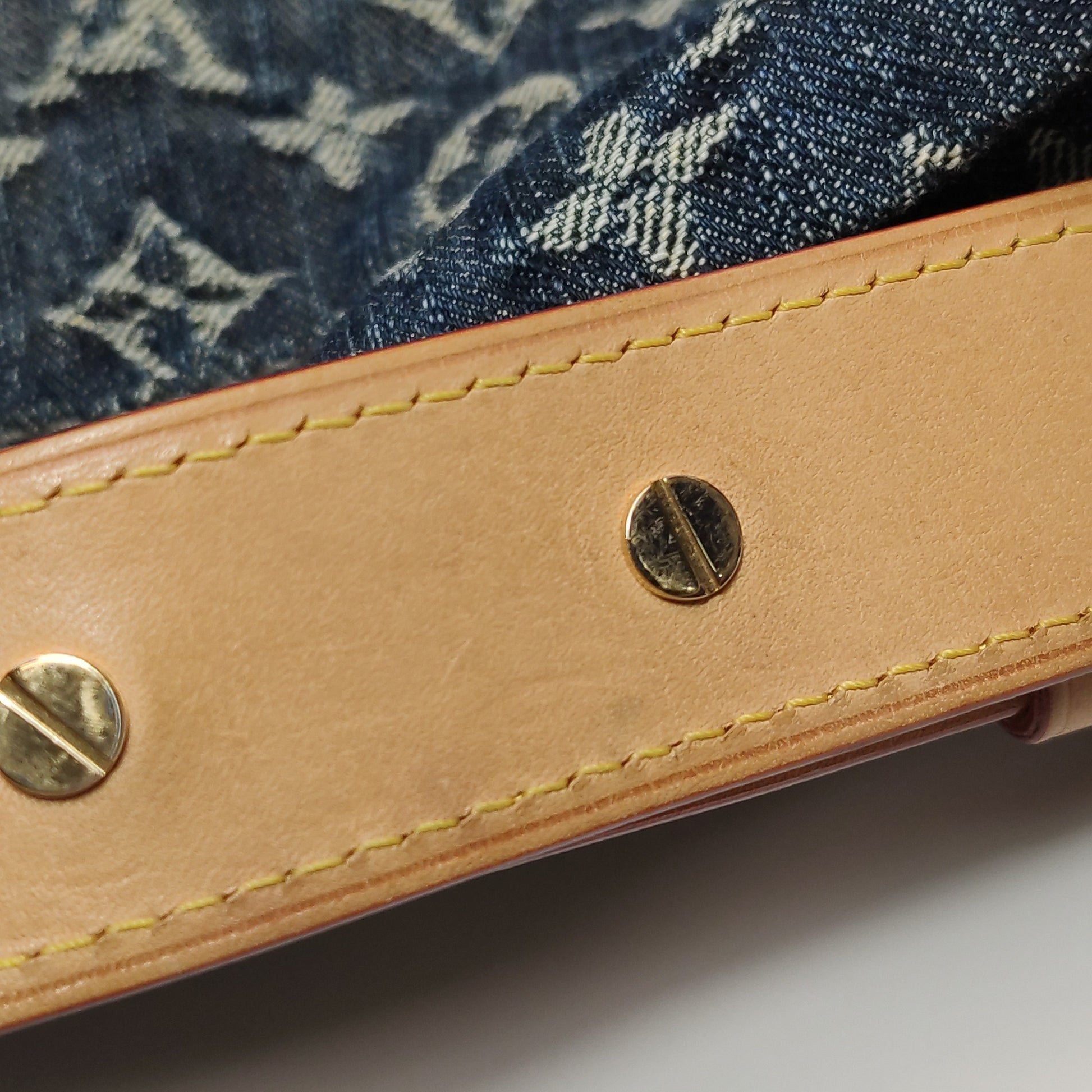 Louis Vuitton Daily GM Denim