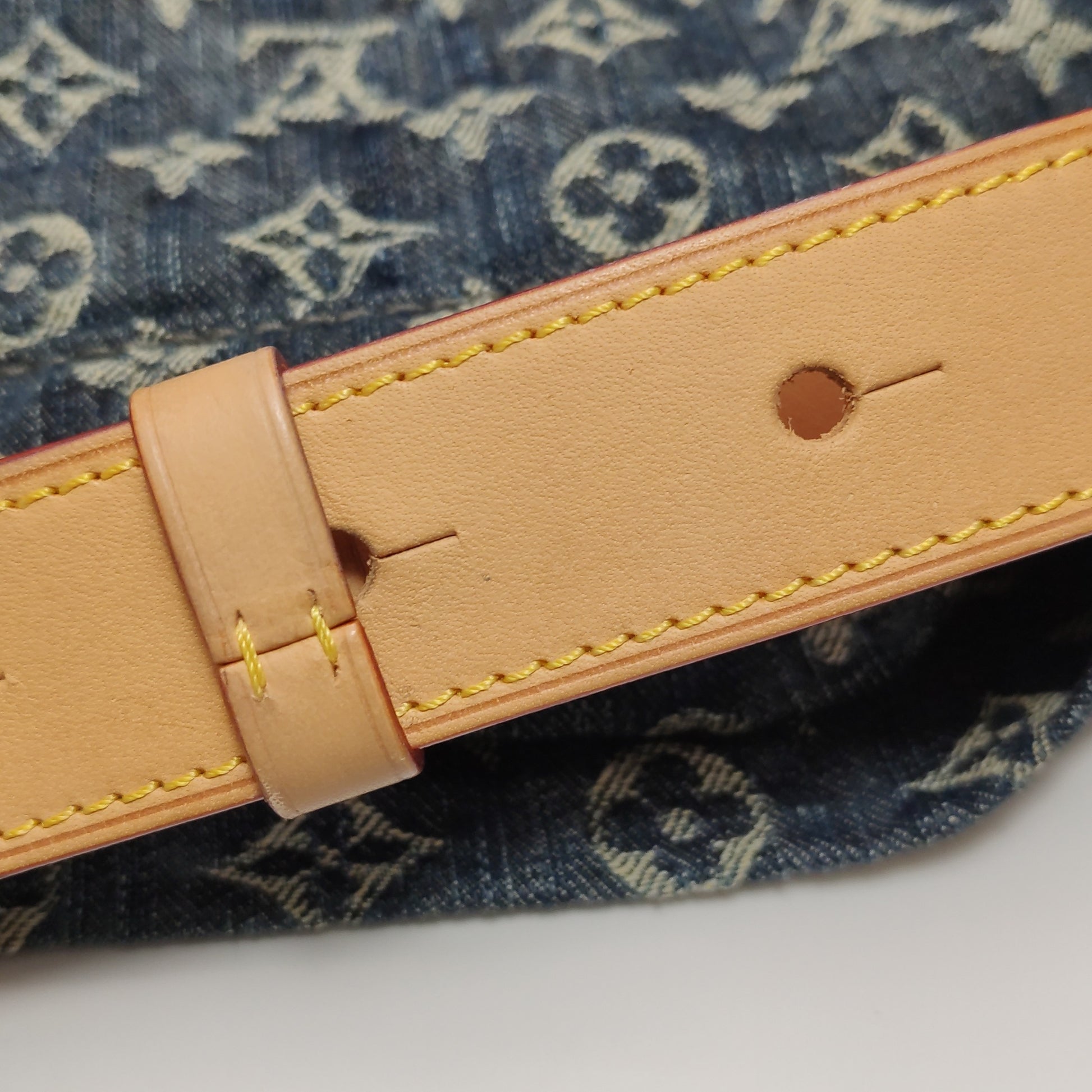 Louis Vuitton Daily GM Denim