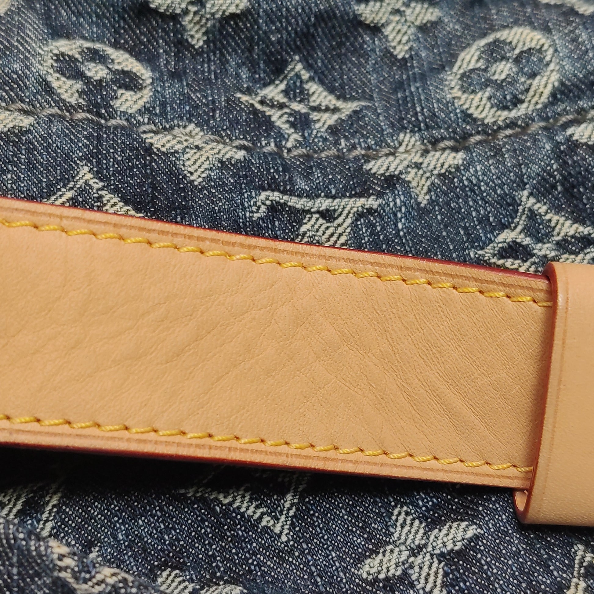 Louis Vuitton Daily GM Denim