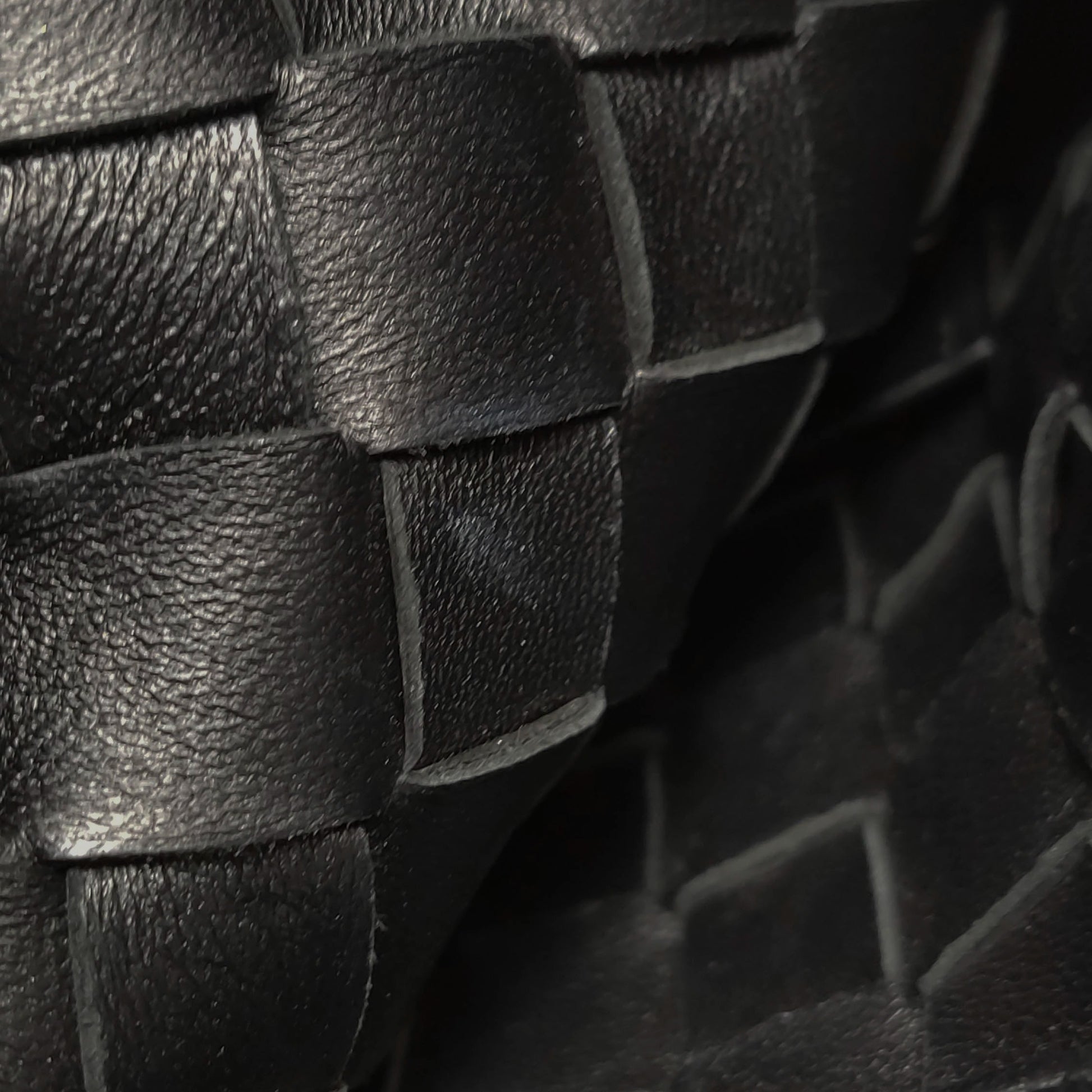 Bottega Veneta Sardine Mini