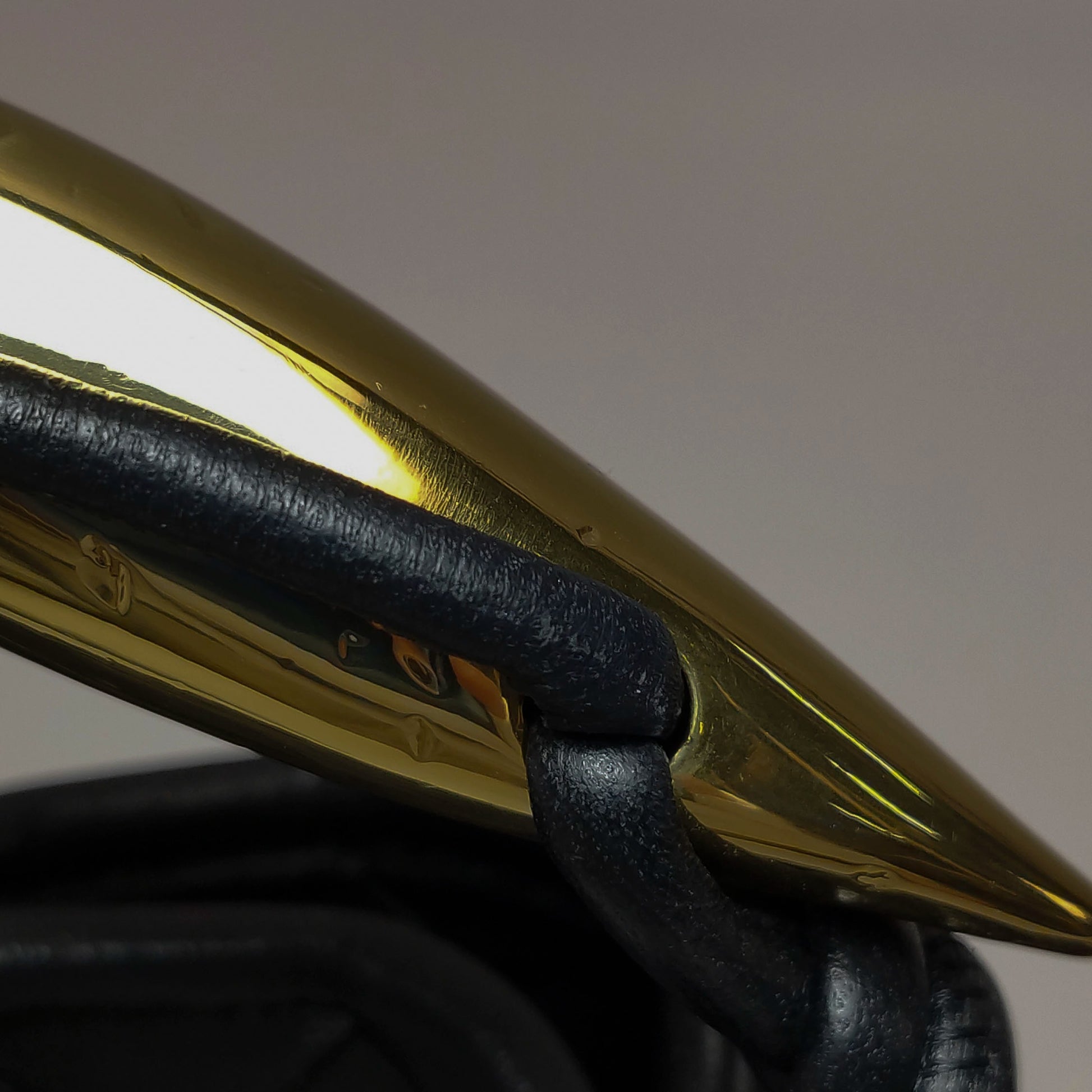 Bottega Veneta Sardine Mini