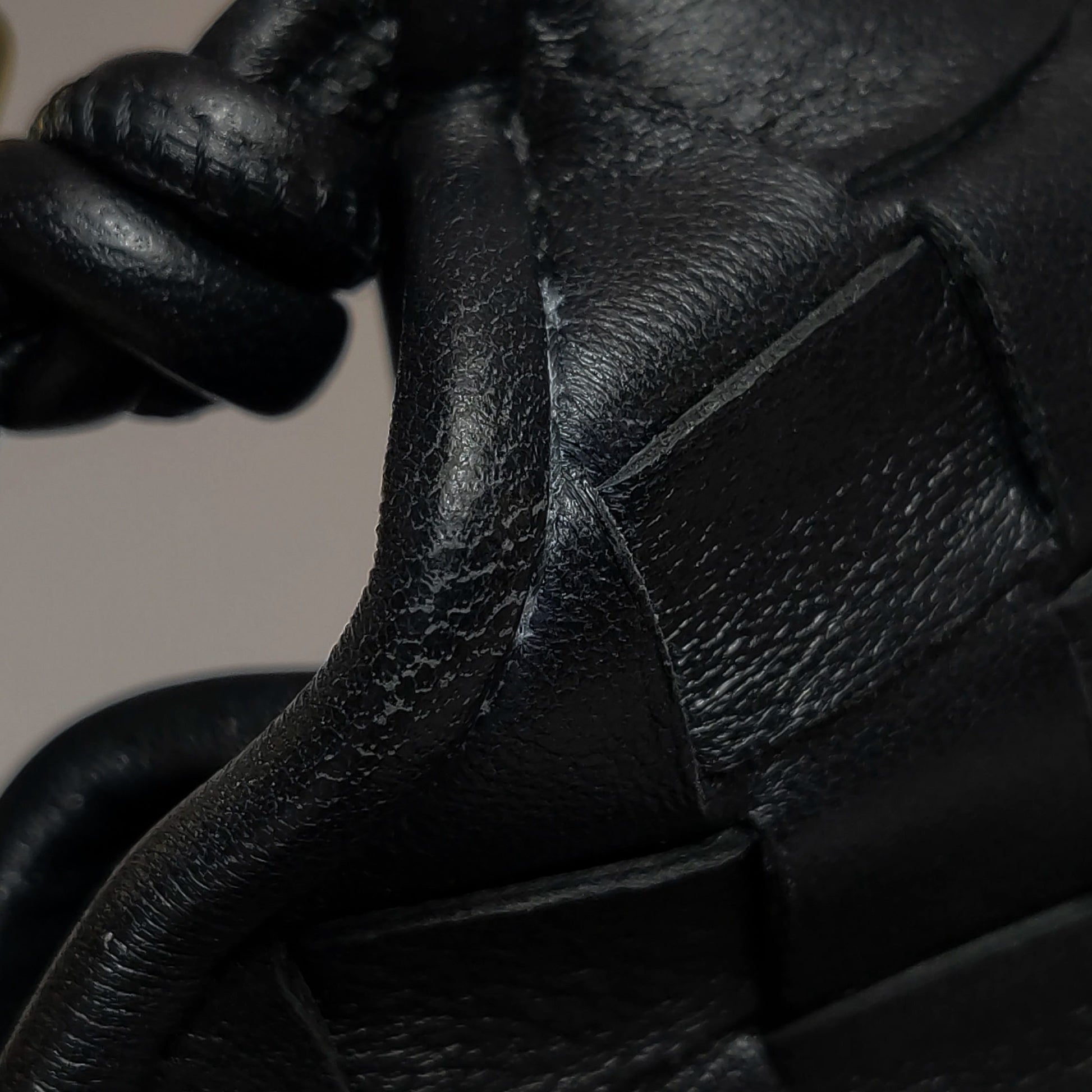 Bottega Veneta Sardine Mini