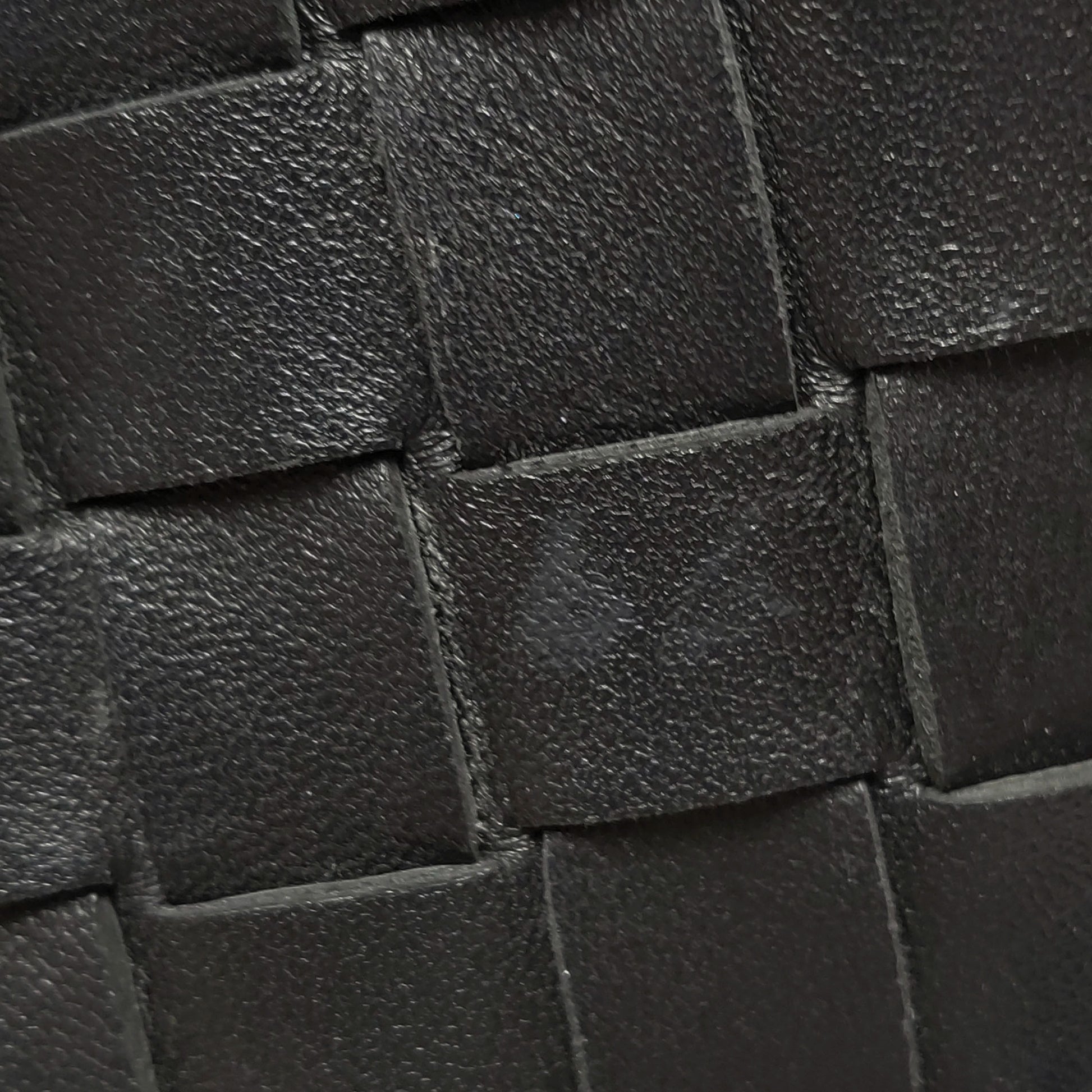 Bottega Veneta Sardine Mini