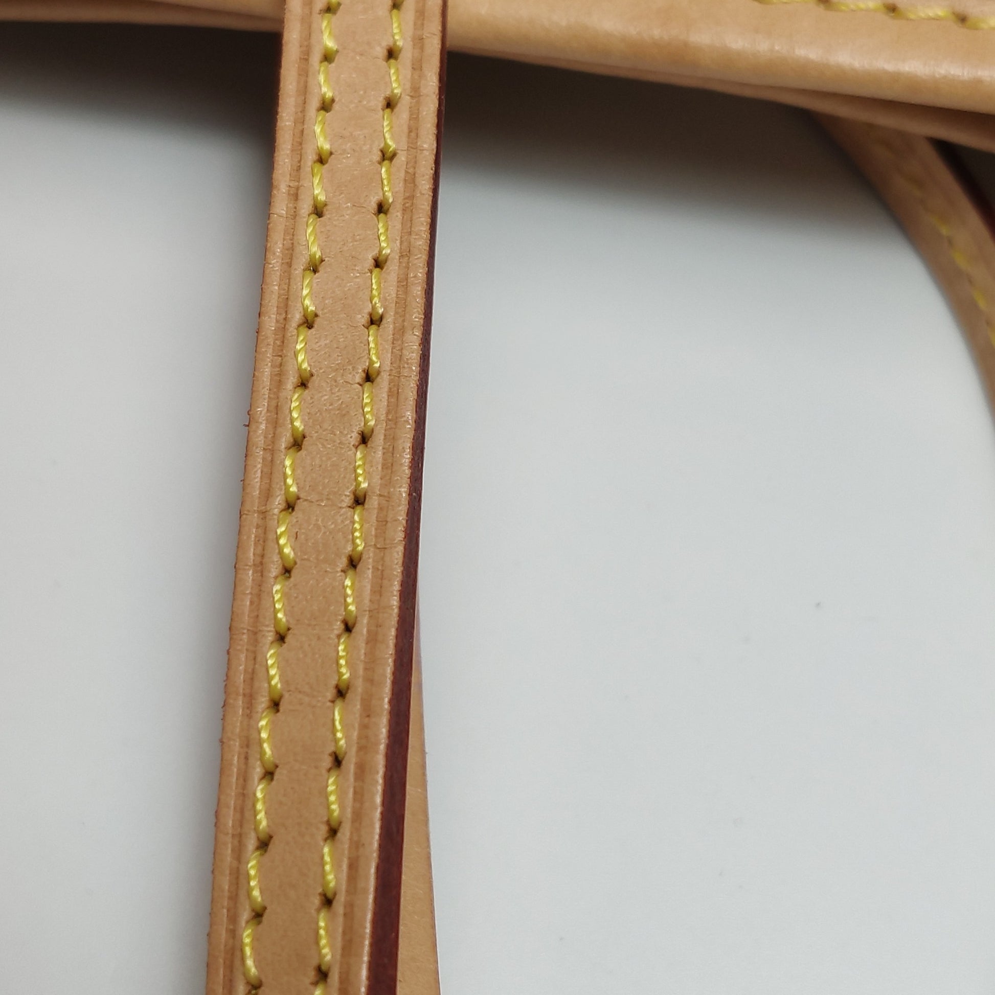 Louis Vuitton Neverfull PM Damier Azur