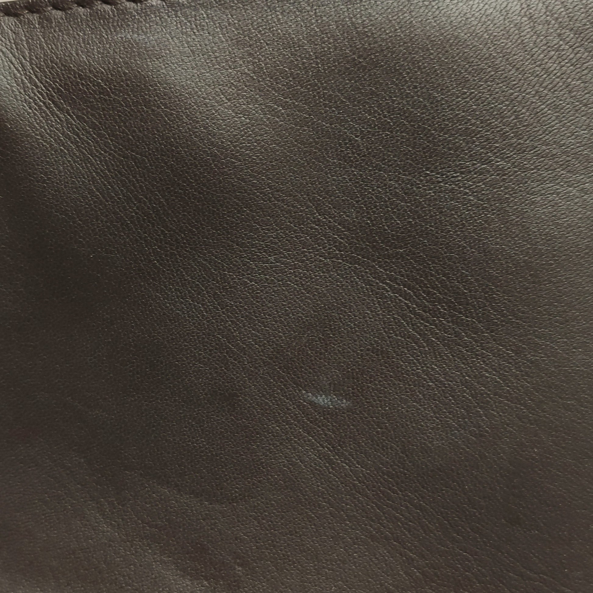 Bottega Veneta Cabat Medium