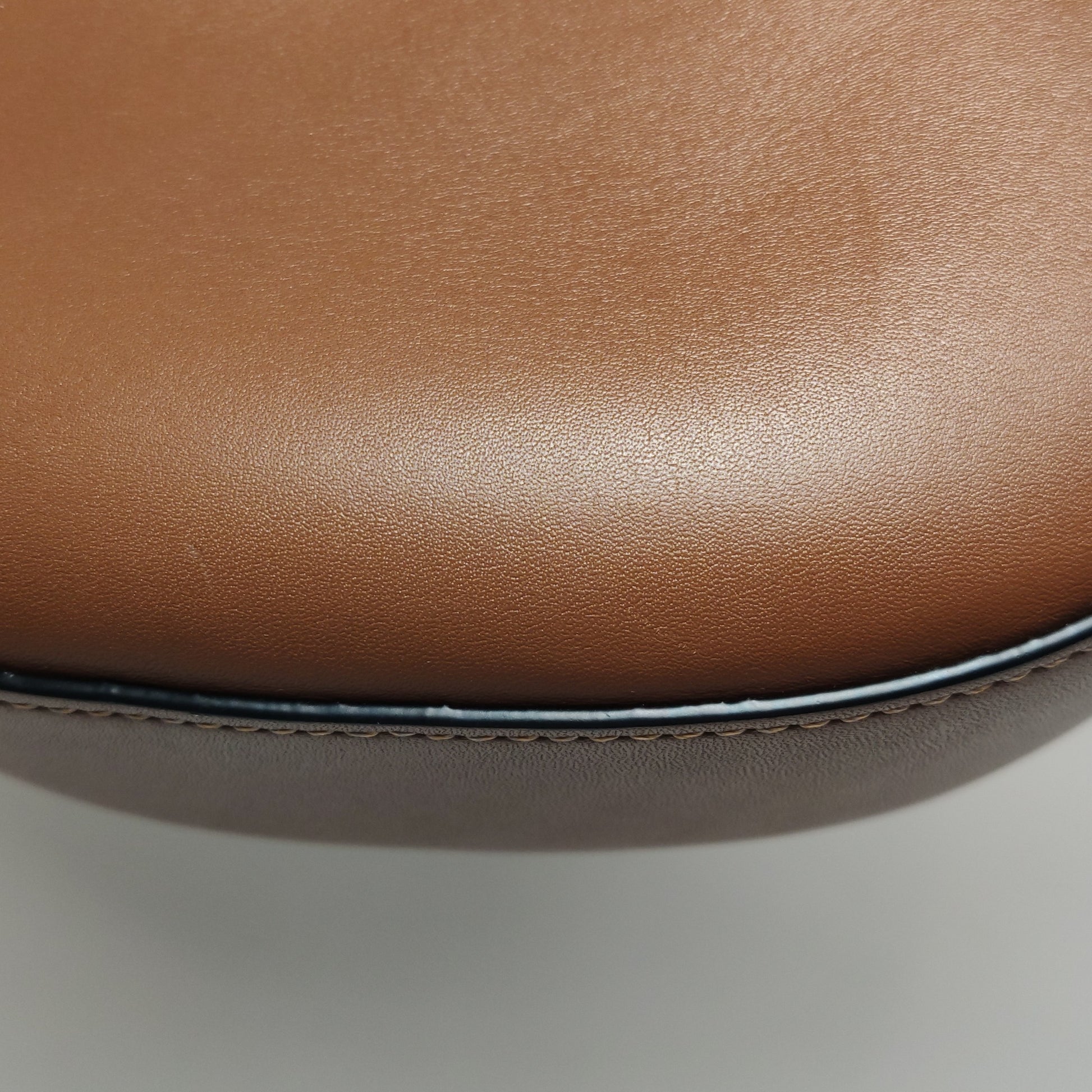 Loewe Luna Anagram Shoulder Bag