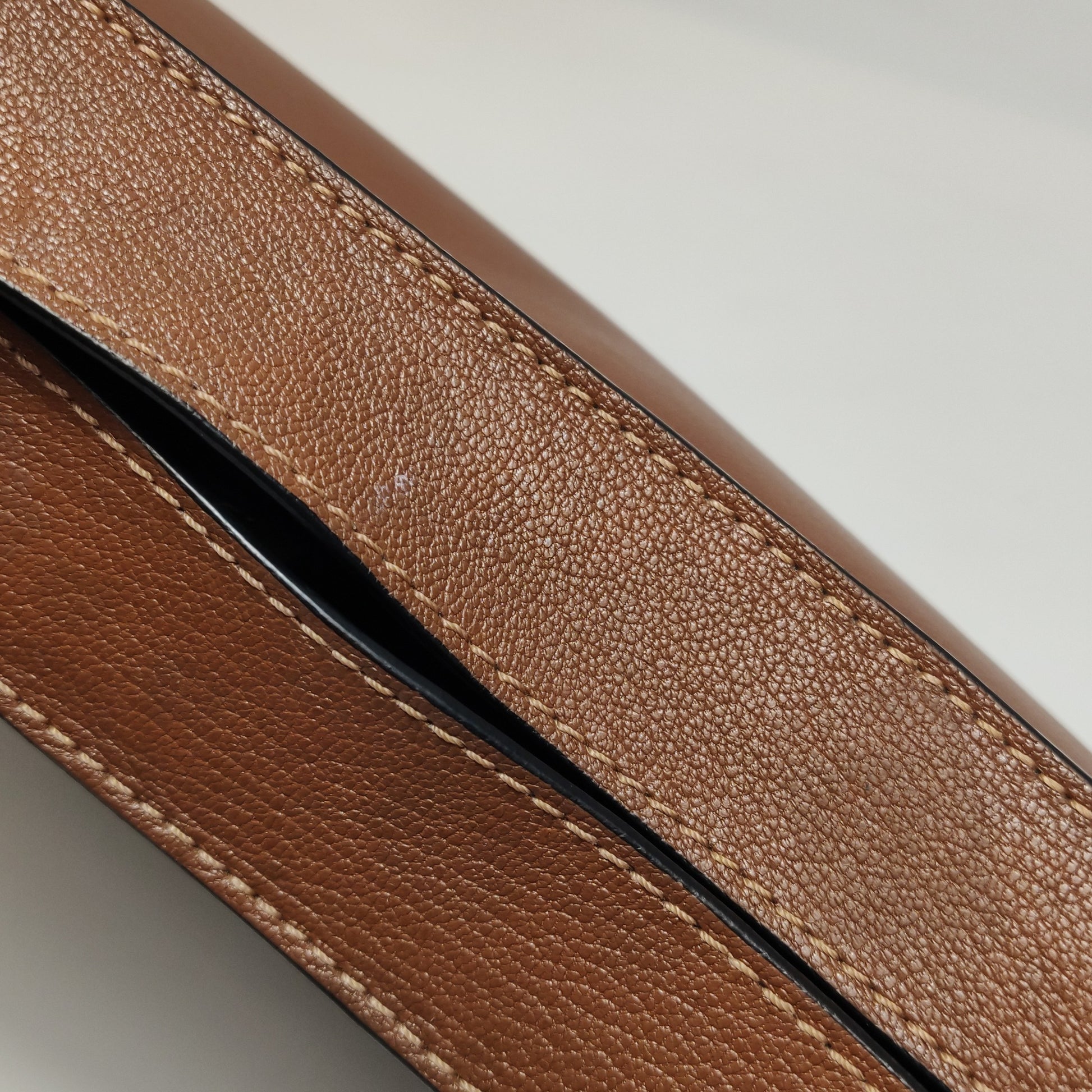 Loewe Luna Anagram Shoulder Bag