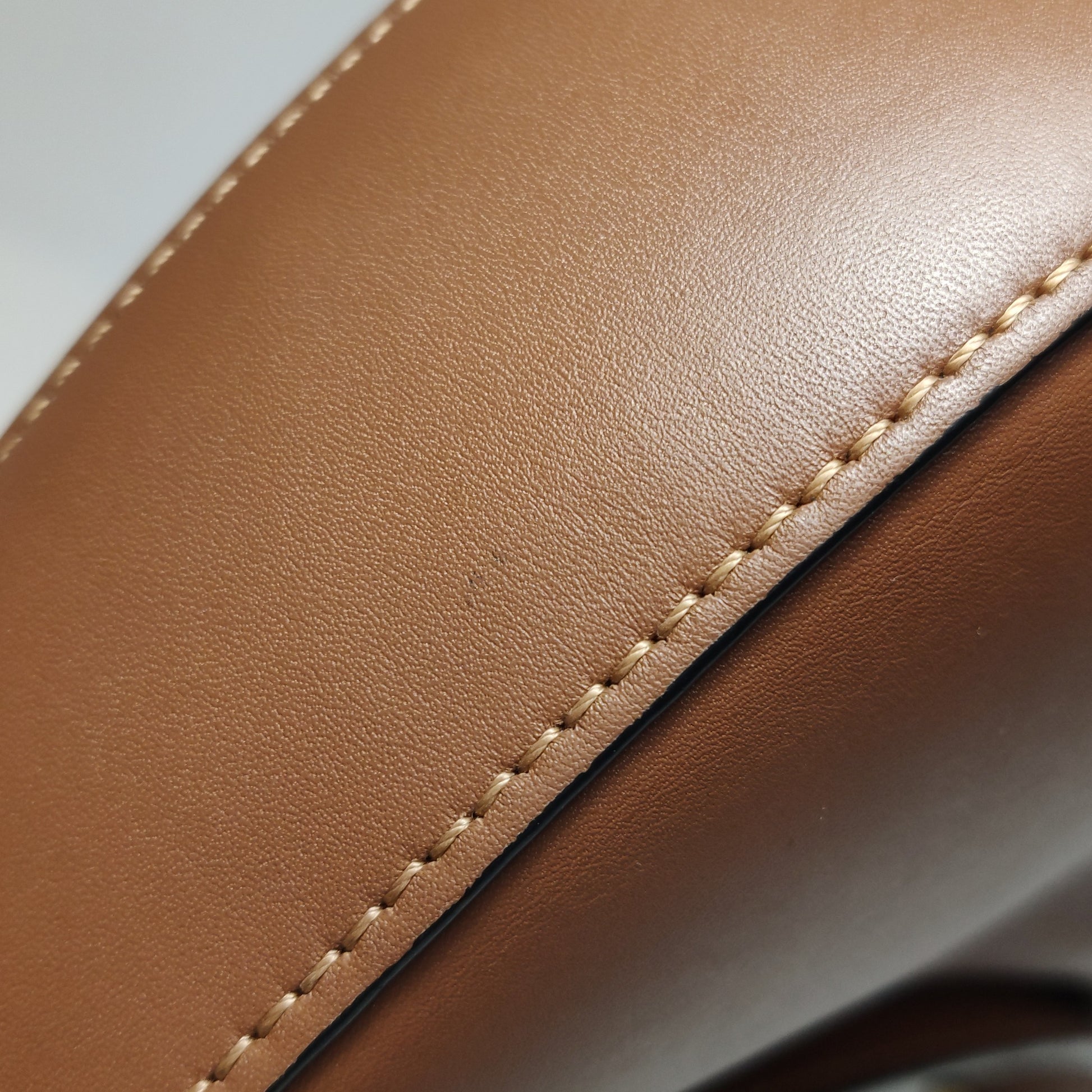 Loewe Luna Anagram Shoulder Bag