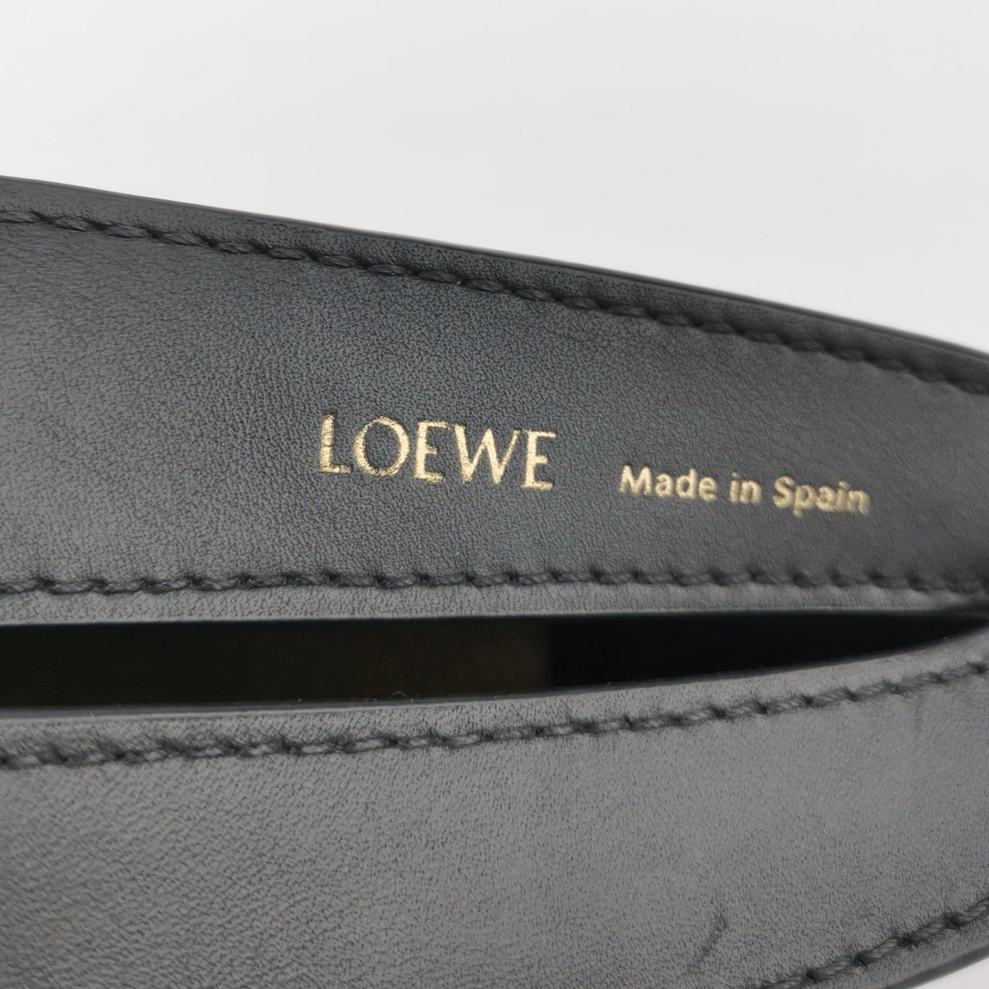 Loewe Luna Anagram Shoulder Bag Bicolor
