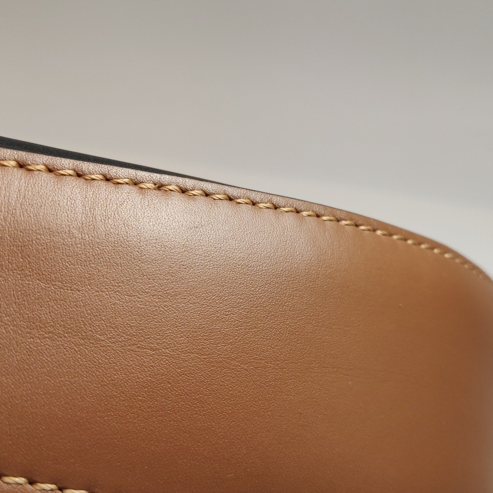 Loewe Luna Anagram Shoulder Bag Bicolor