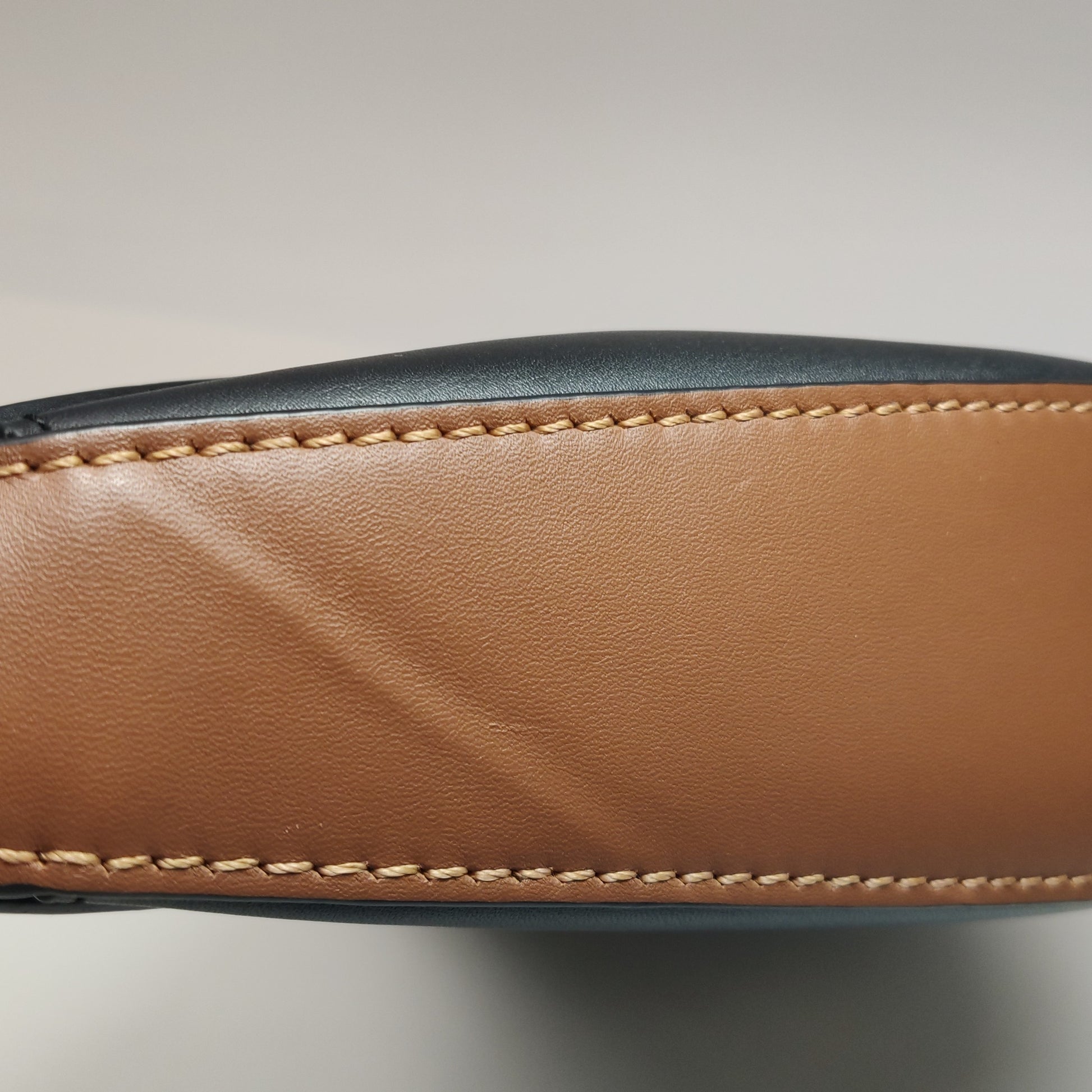 Loewe Luna Anagram Shoulder Bag Bicolor