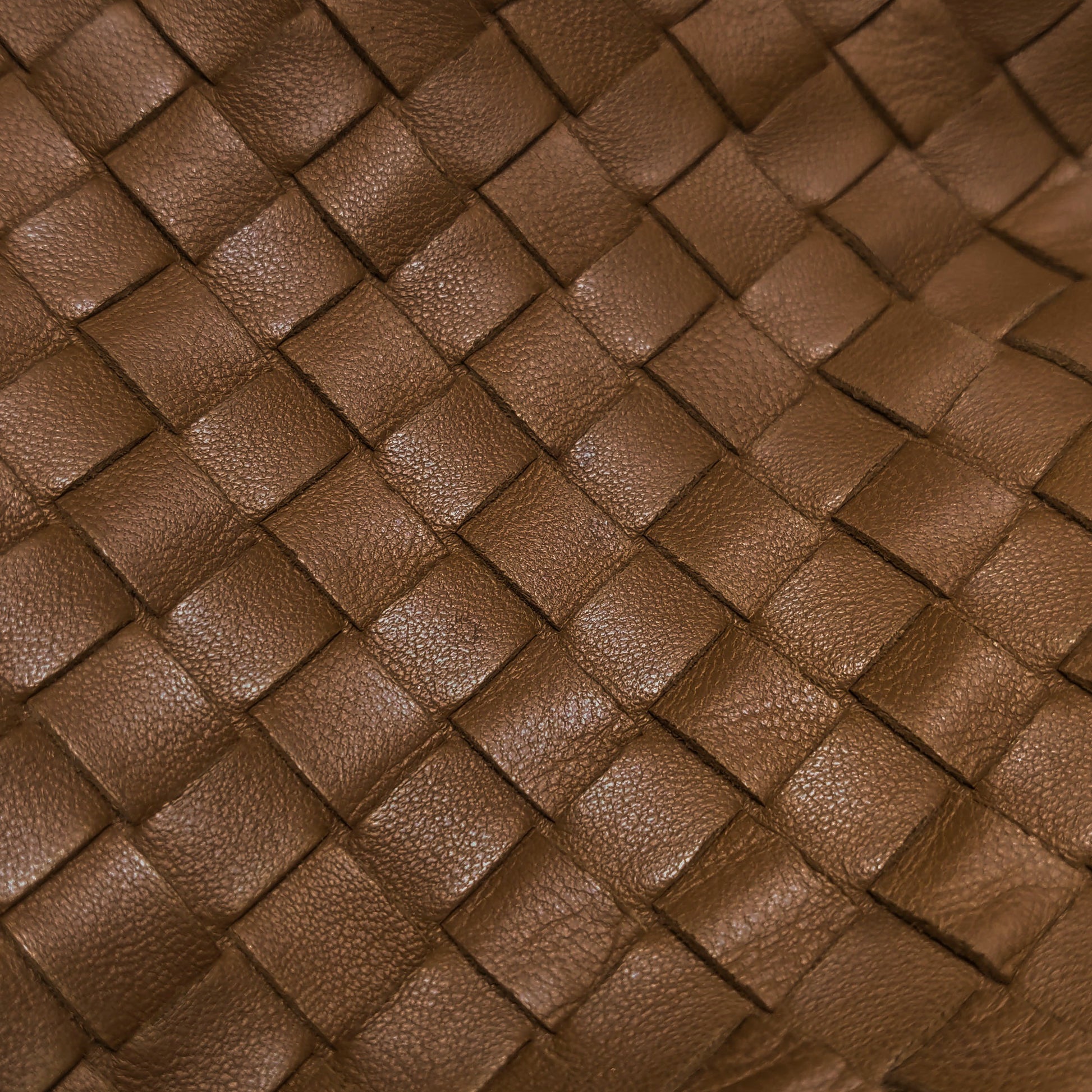 Bottega Veneta Campana