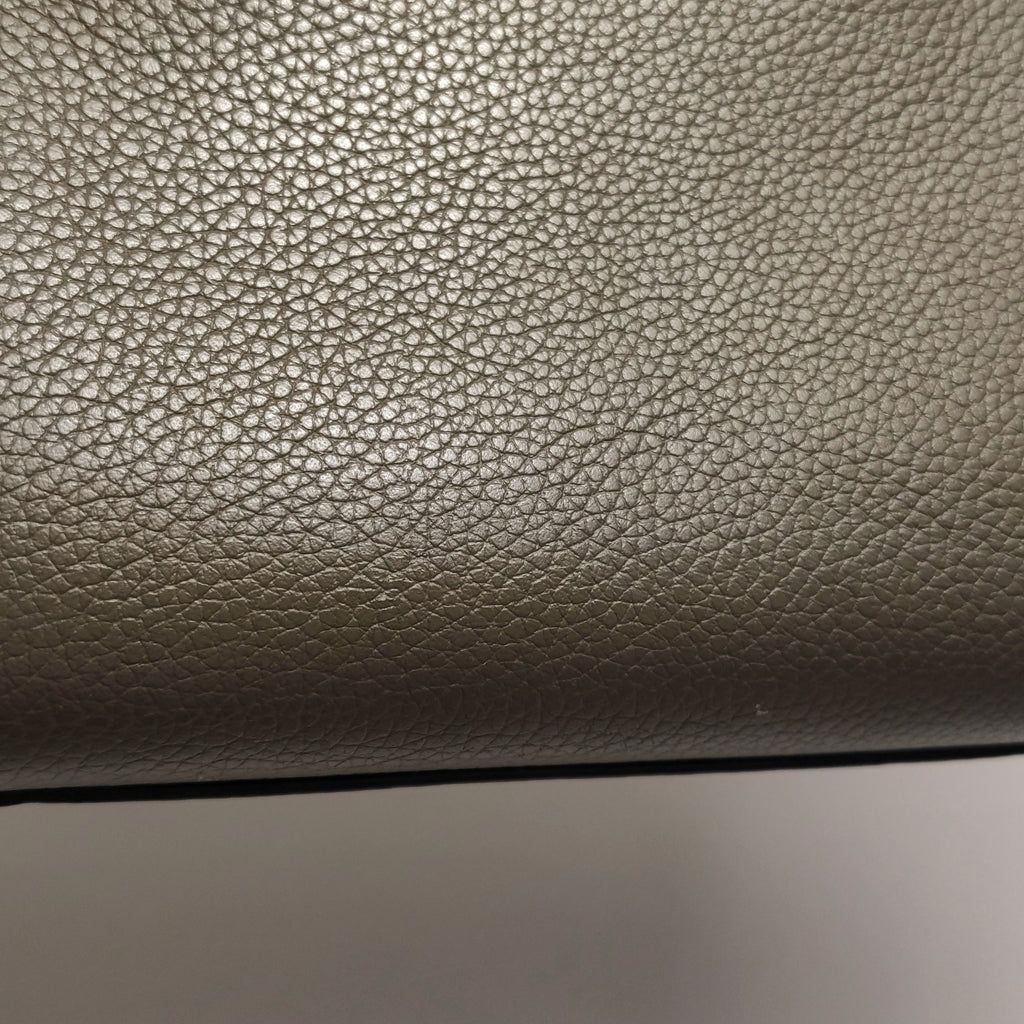 Celine Nano Luggage Grained Beige