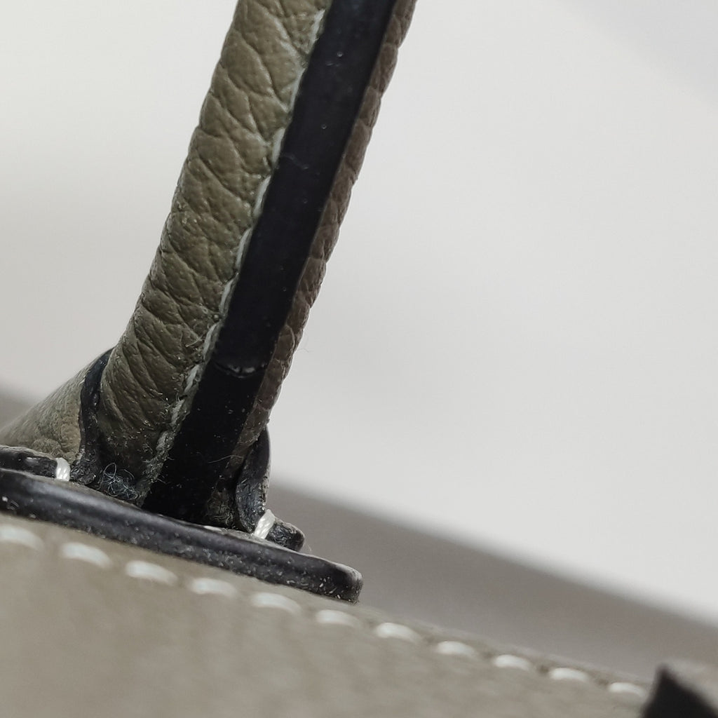 Celine Nano Luggage Grained Beige