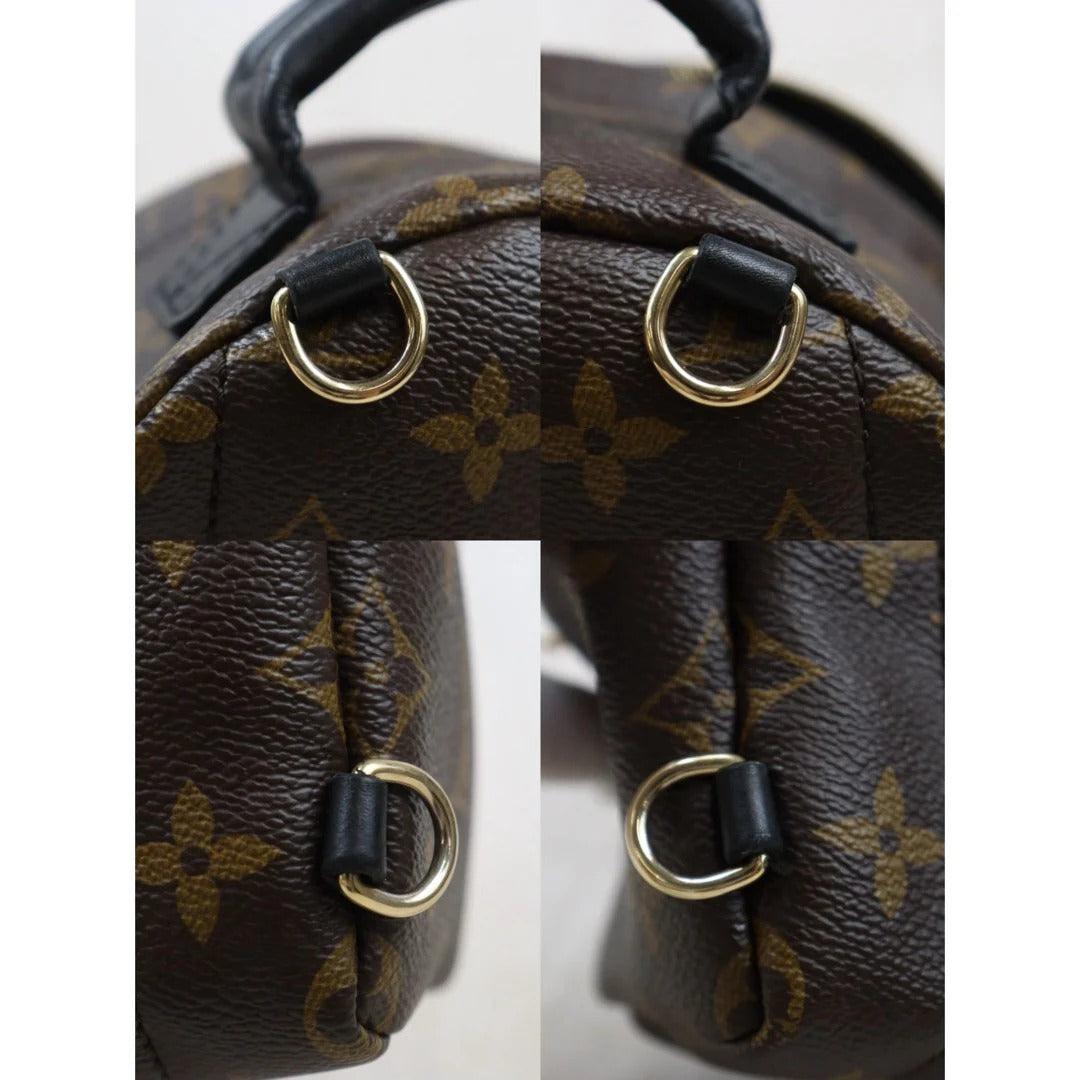 Louis Vuitton	Mini Palm Springs Monogram