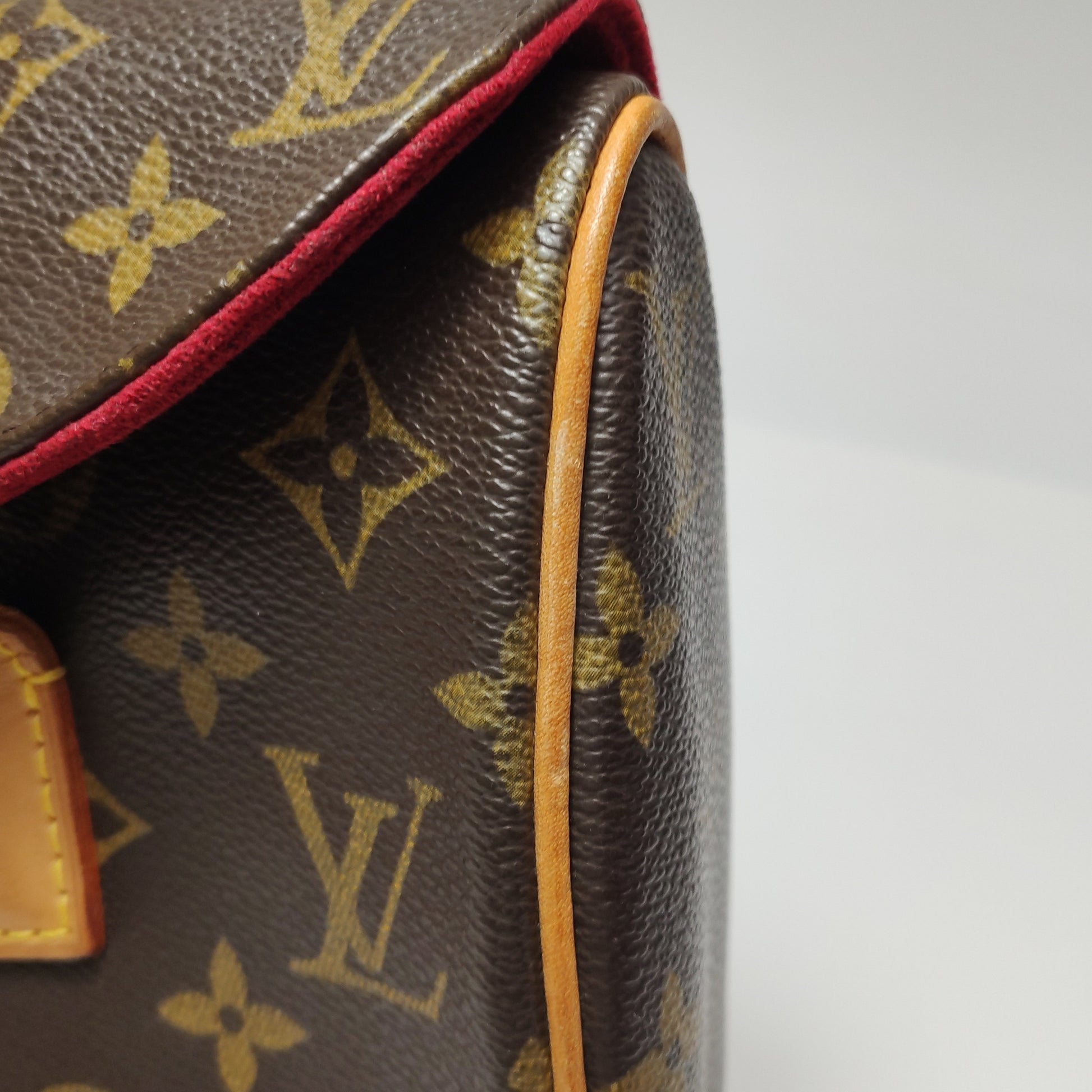Louis Vuitton Sonatine Monogram