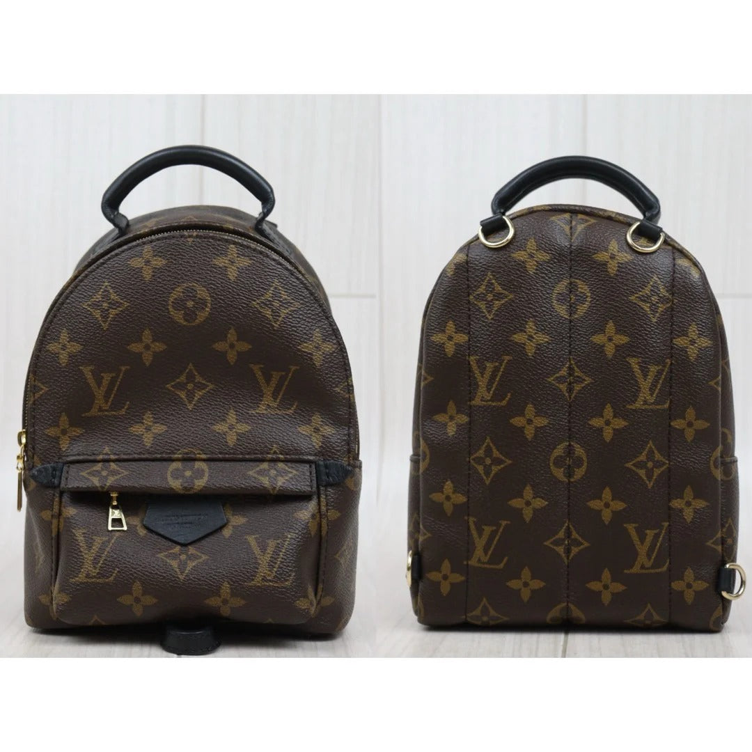 Louis Vuitton	Mini Palm Springs Monogram