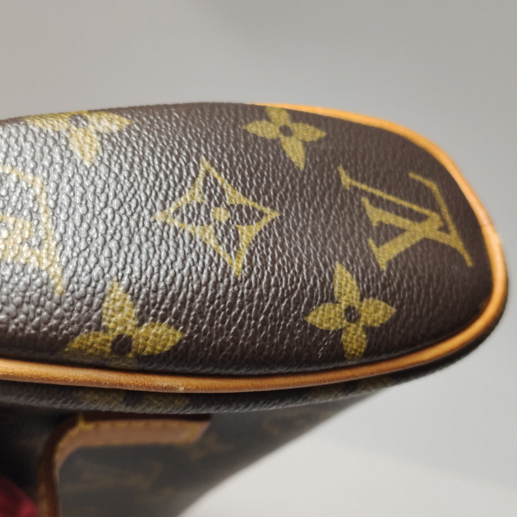 Louis Vuitton Sonatine Monogram