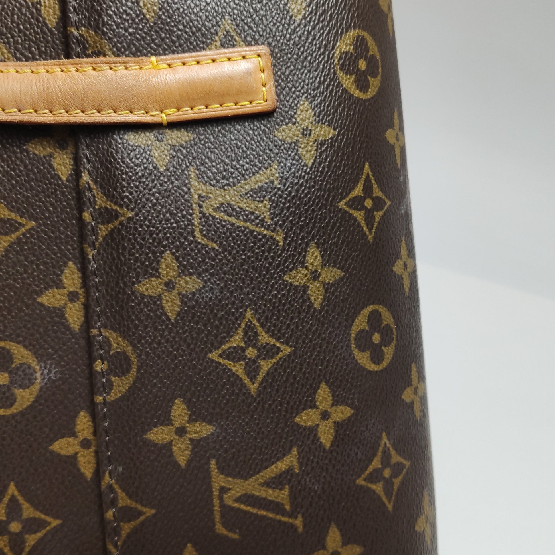 Louis Vuitton Sonatine Monogram