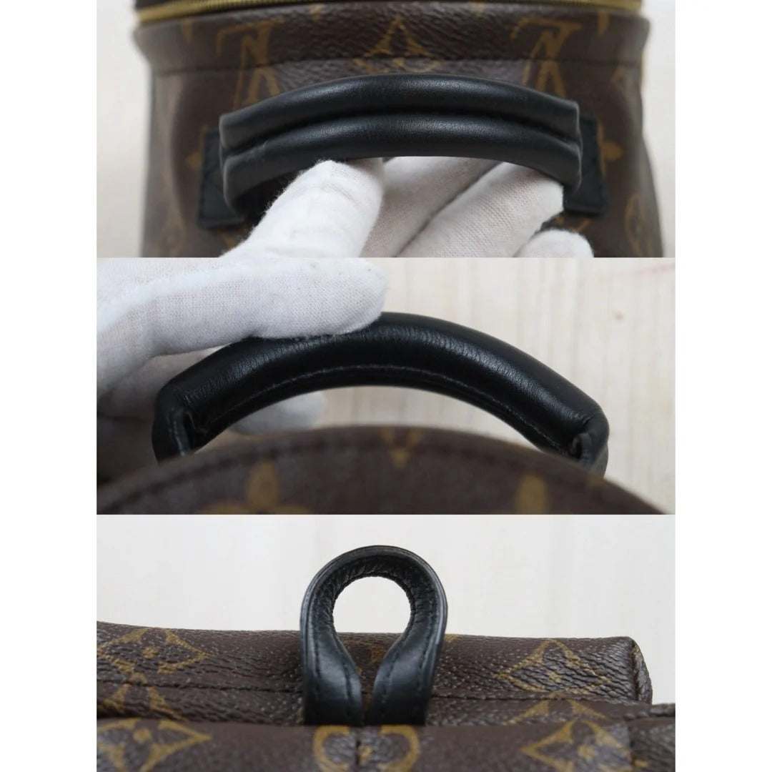 Louis Vuitton	Mini Palm Springs Monogram