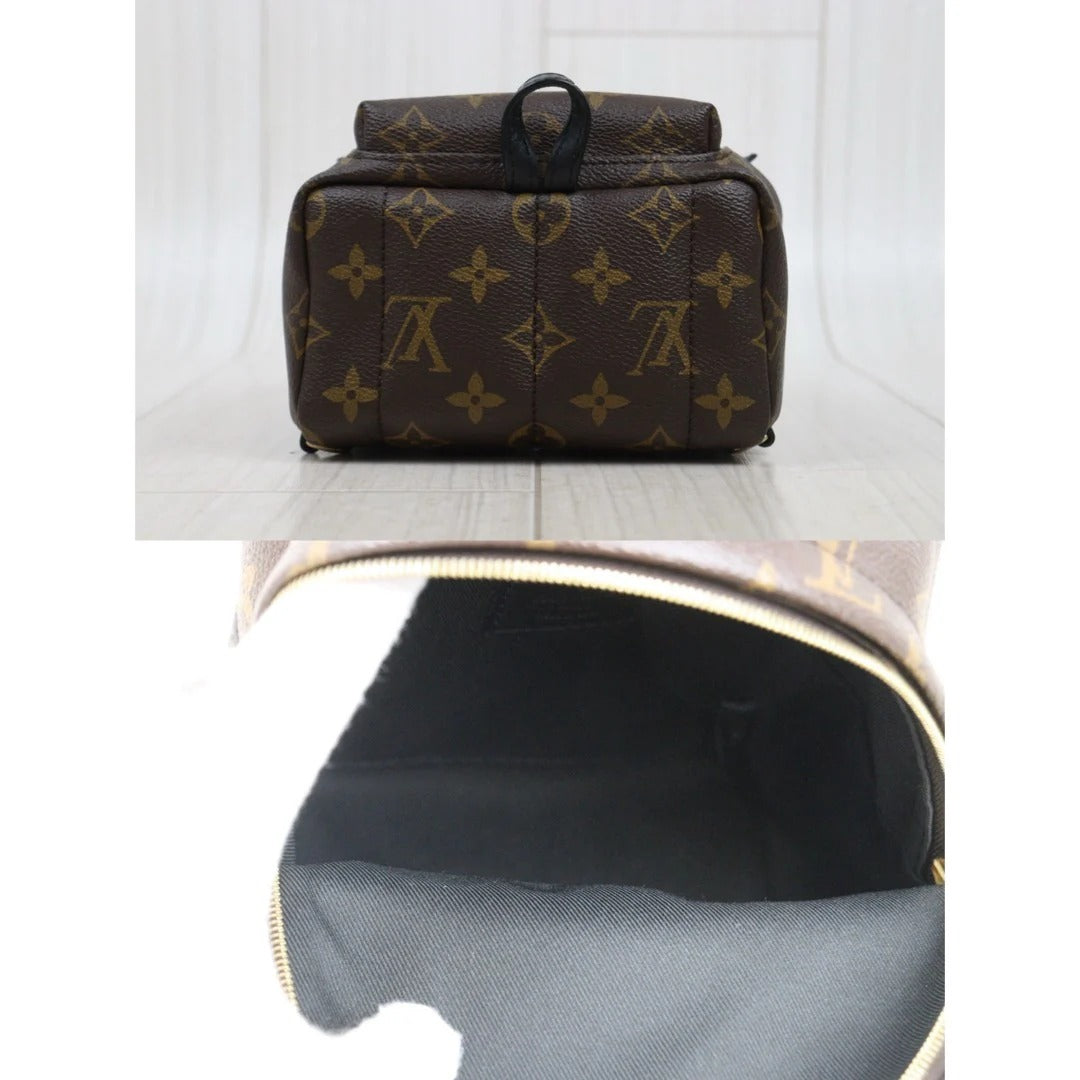 Louis Vuitton	Mini Palm Springs Monogram