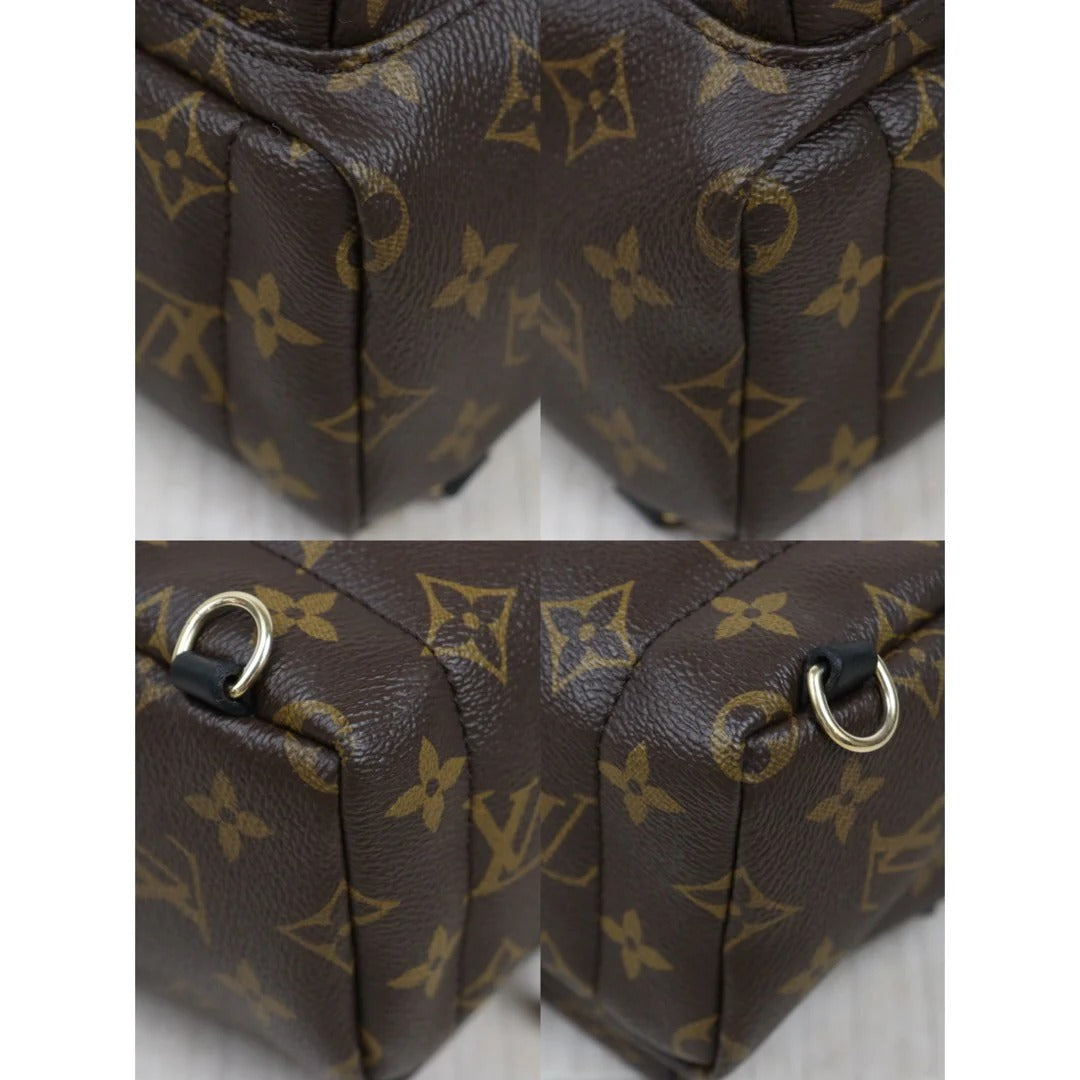 Louis Vuitton	Mini Palm Springs Monogram