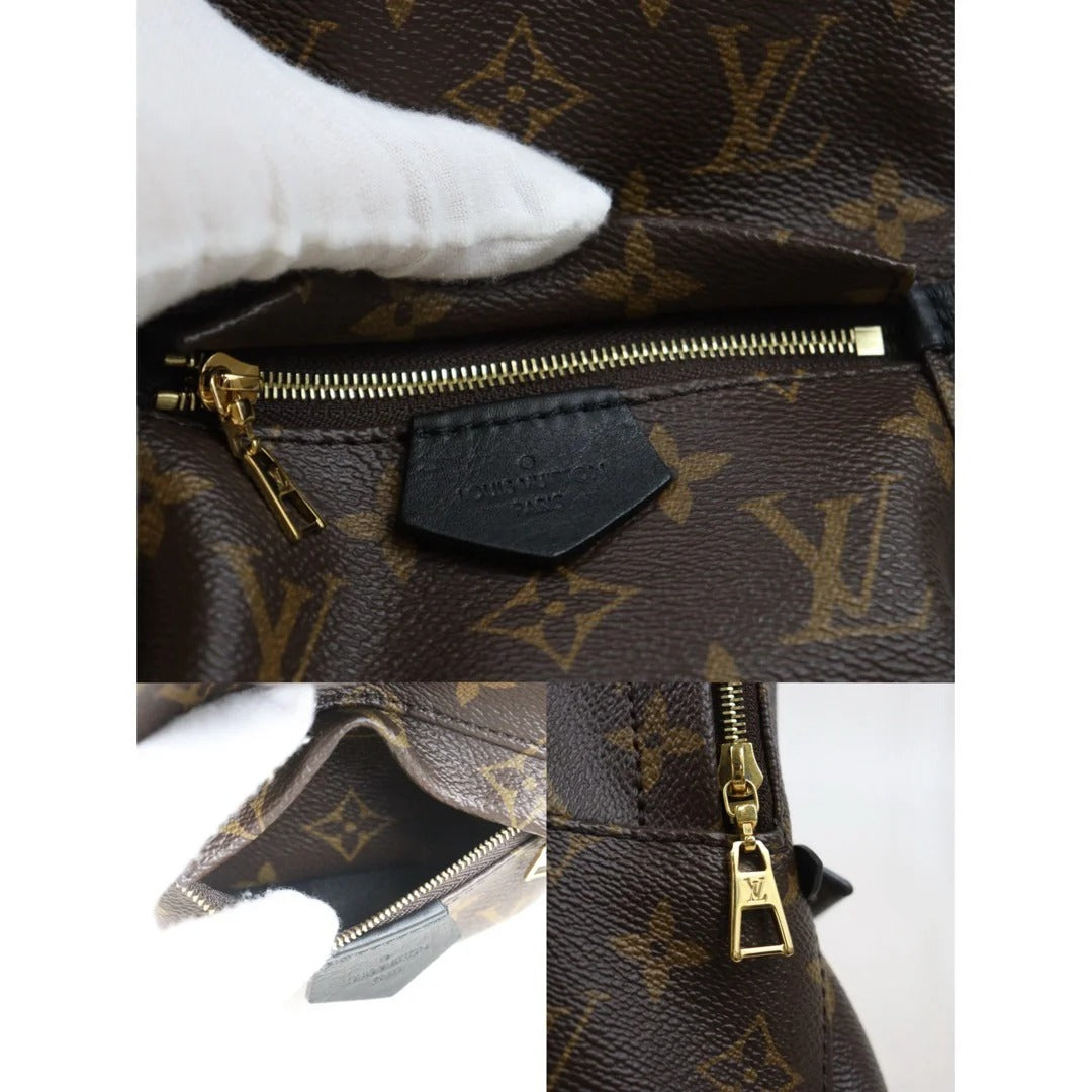 Louis Vuitton	Mini Palm Springs Monogram