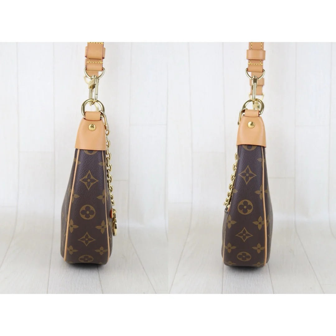 Louis Vuitton	Loop Monogram