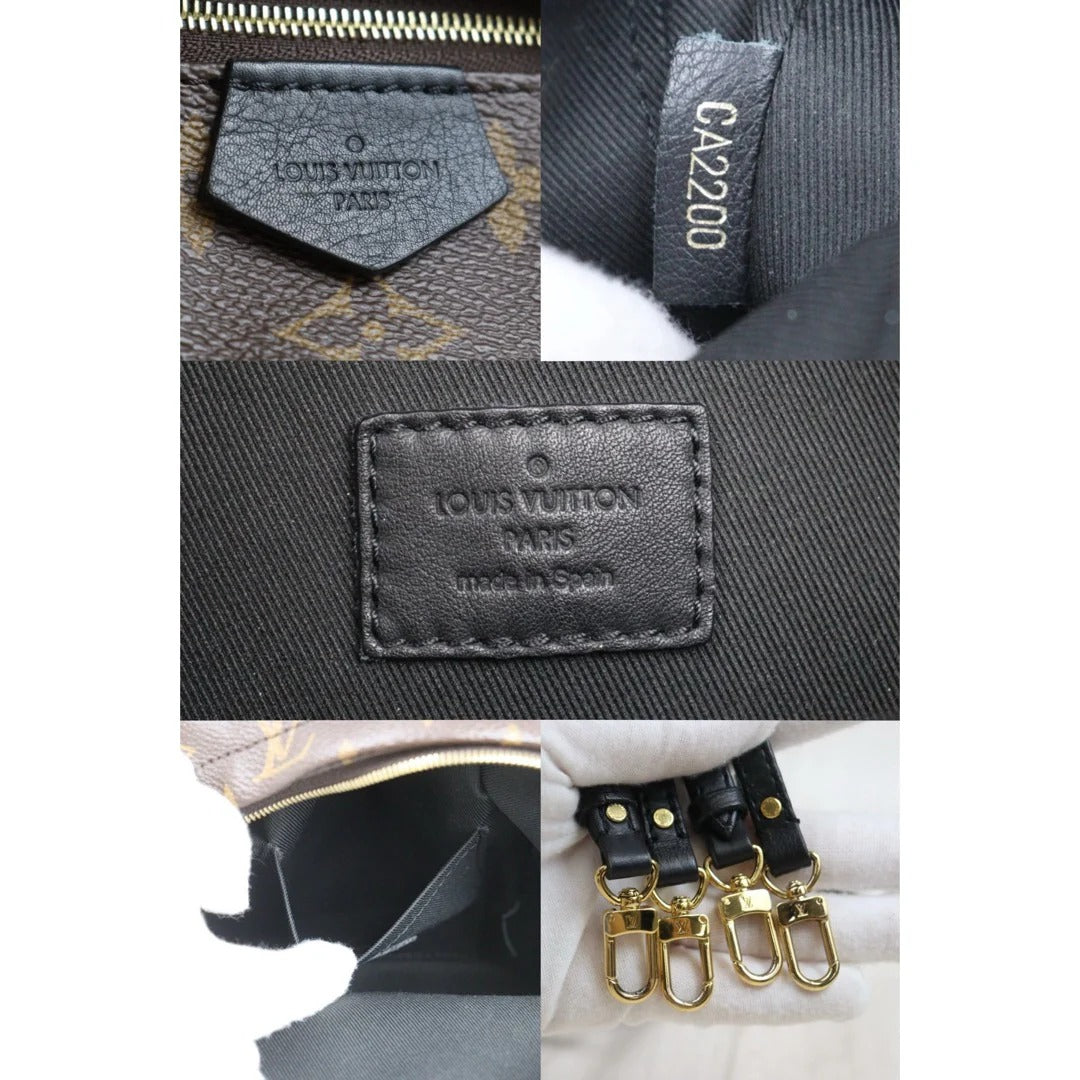 Louis Vuitton	Mini Palm Springs Monogram