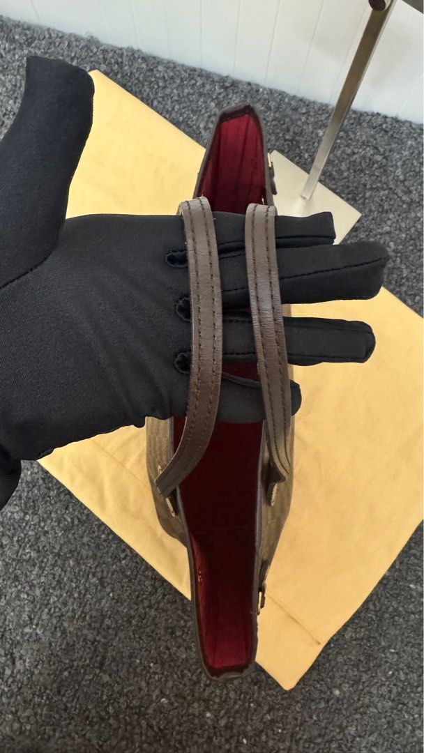 Louis Vuitton Neverfull PM Damier Ebene